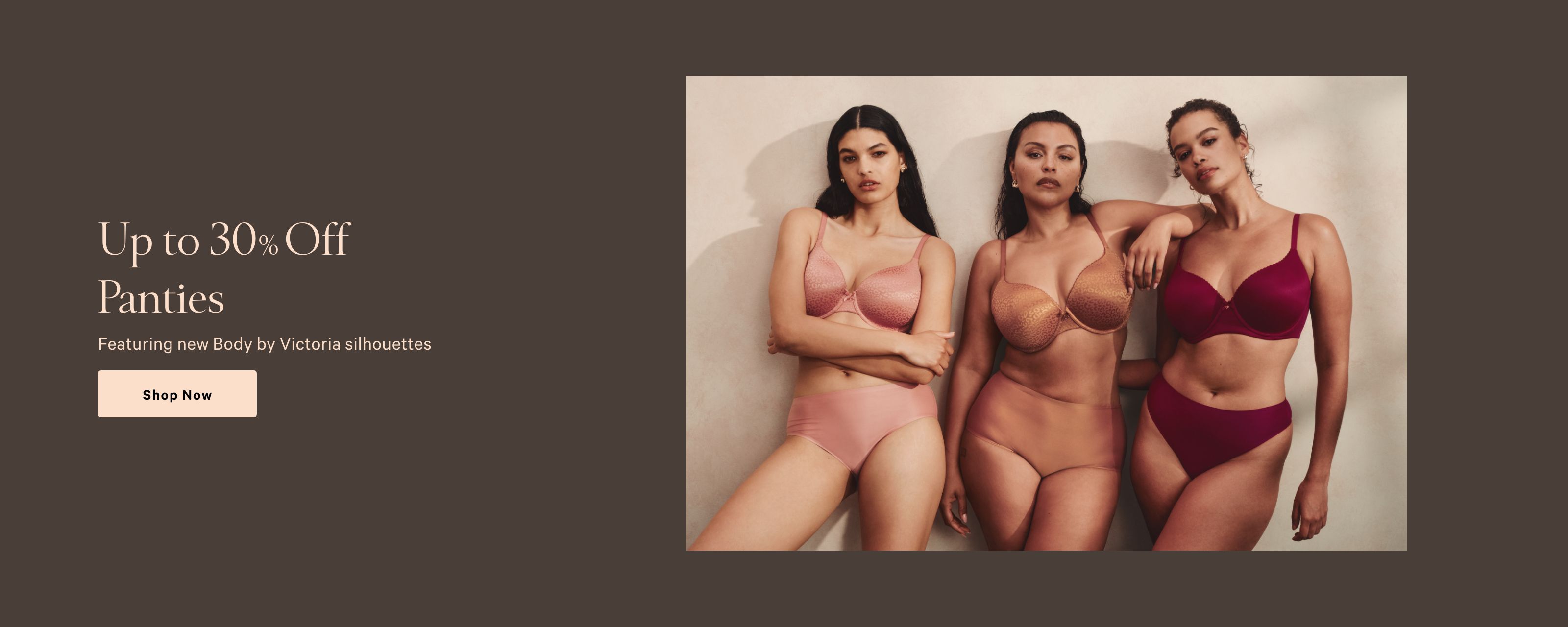 VSL-HB2-bbvpanties